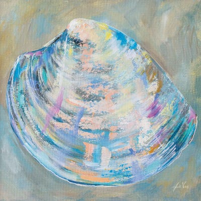 Baby Shell by Jeanette Vertentes canvas print