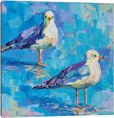 Boys Of Summer Canvas Art Print - Gull & Seagull Art