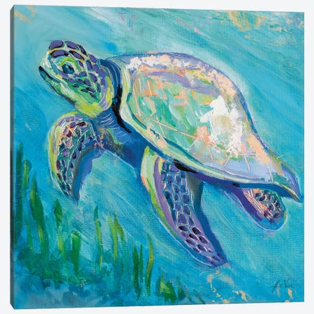 Sea Turtle Swim II Canvas Print #JVE154} by Jeanette Vertentes Canvas Artwork