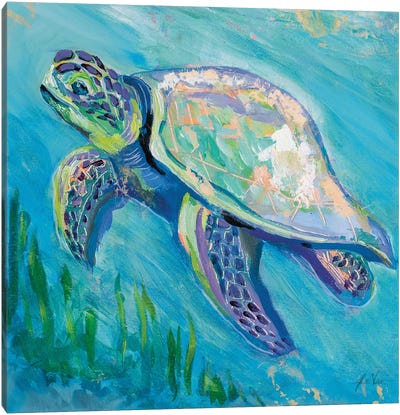 Sea Turtle Swim II Canvas Art Print - Jeanette Vertentes