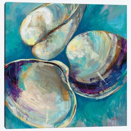 Shell Trio Canvas Print #JVE155} by Jeanette Vertentes Canvas Art