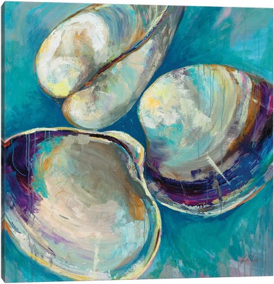 Shell Trio Canvas Art Print - Sea Shell Art