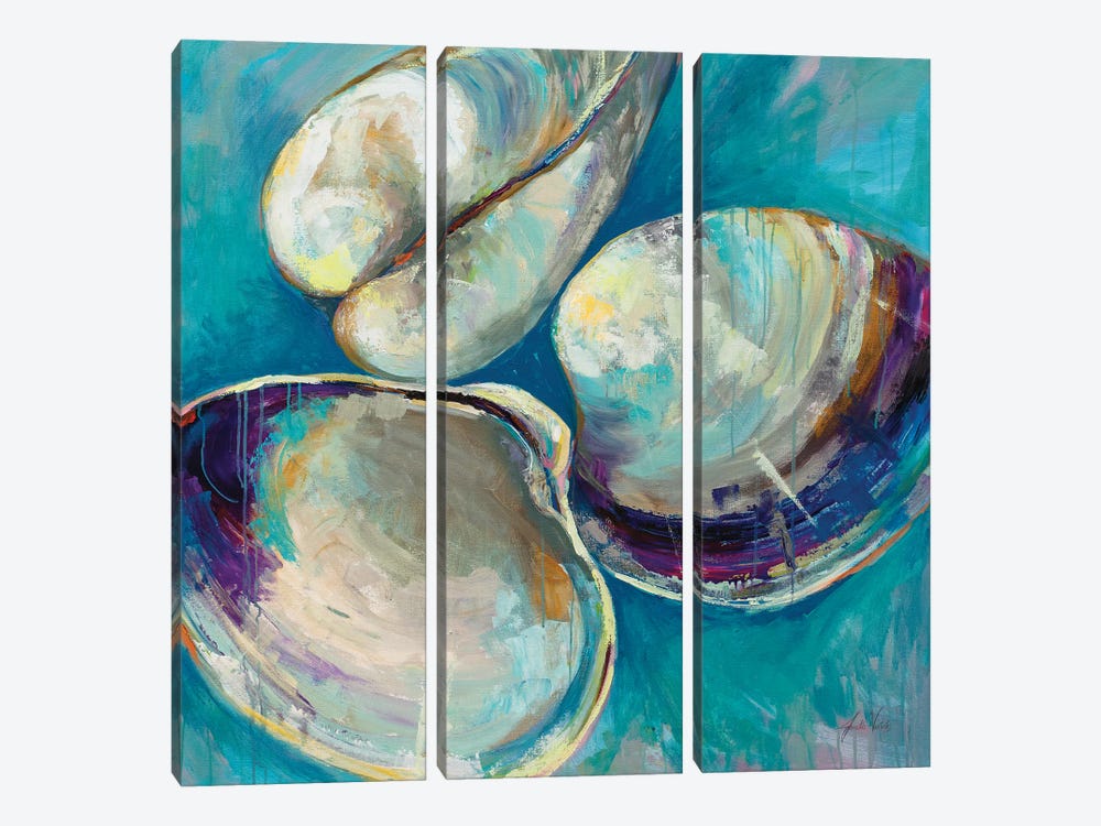 Shell Trio by Jeanette Vertentes 3-piece Canvas Artwork