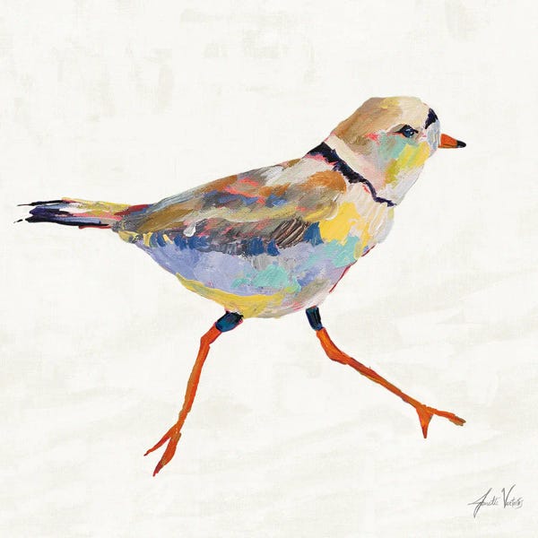 Jeanette Vertentes: Coastal Plover I Linen by Jeanette Vertentes