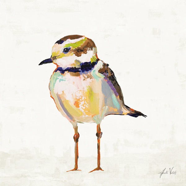 Jeanette Vertentes: Coastal Plover II Linen by Jeanette Vertentes