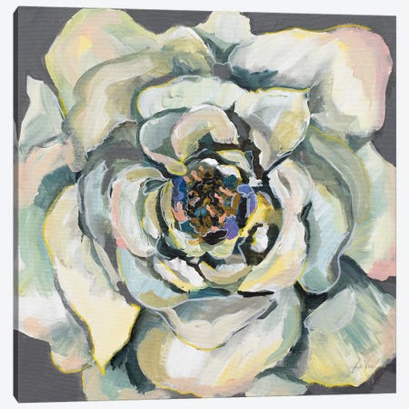 Bloom I Canvas Print #JVE38} by Jeanette Vertentes Canvas Art Print