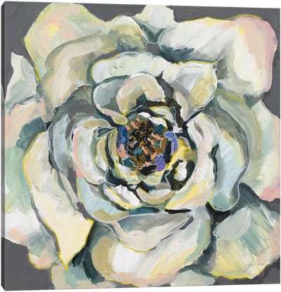 Bloom I Canvas Art Print - Jeanette Vertentes