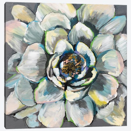 Bloom III Canvas Print #JVE40} by Jeanette Vertentes Canvas Wall Art