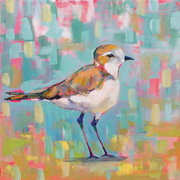 Coastal Plover III by Jeanette Vertentes wall art