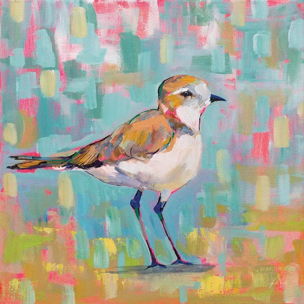Jeanette Vertentes: Coastal Plover III by Jeanette Vertentes