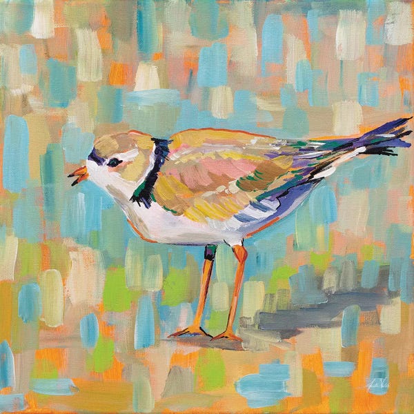 Jeanette Vertentes: Coastal Plover IV by Jeanette Vertentes