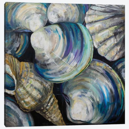 Key West Shells Canvas Print #JVE71} by Jeanette Vertentes Art Print