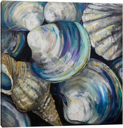 Key West Shells Canvas Art Print - Jeanette Vertentes