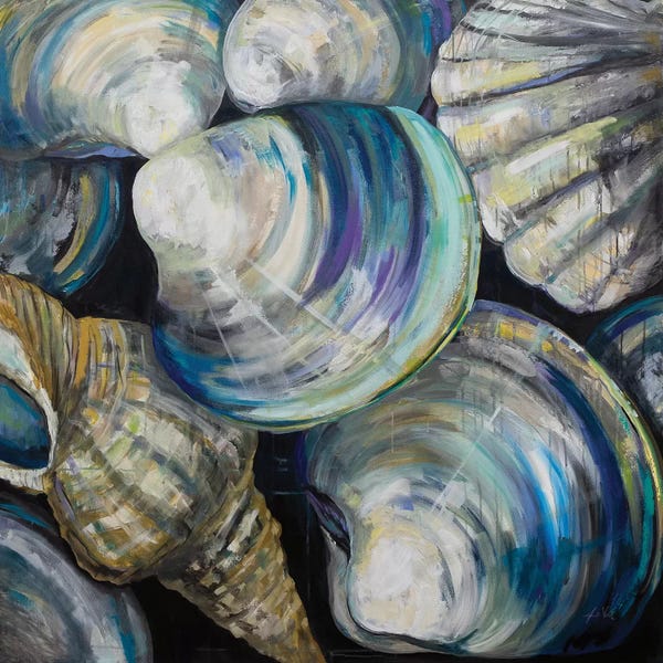 Nautical Living Room: Key West Shells by Jeanette Vertentes