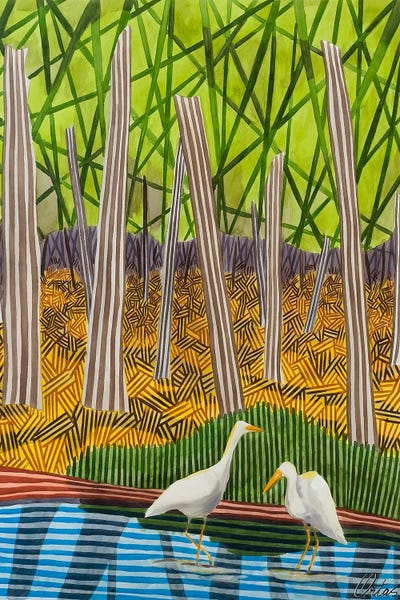 Stripes: Two Birds In The Water by Javier Ortas