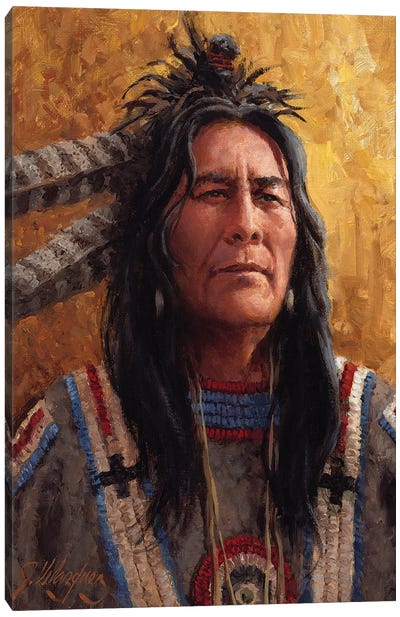 Wisdom Of The Owl Canvas Art Print - Indigenous & Native American Culture