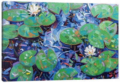 Tasman Lily Pond XXXVII Canvas Art Print - Lily Art