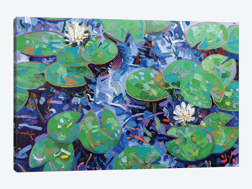 Tasman Lily Pond XXXVII by Joseph Villanueva 1-piece Canvas Wall Art