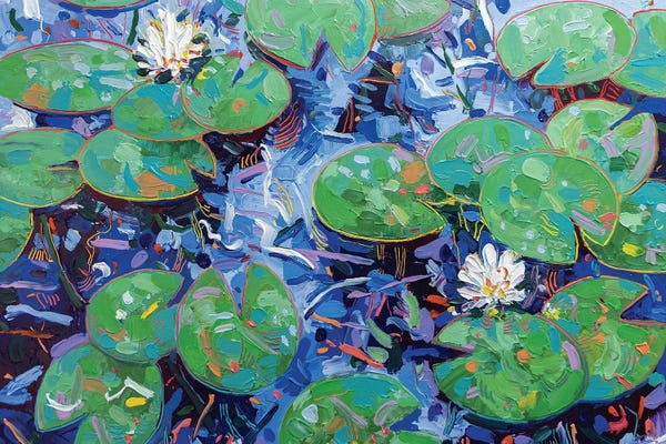 Joseph Villanueva: Tasman Lily Pond XXXVII by Joseph Villanueva