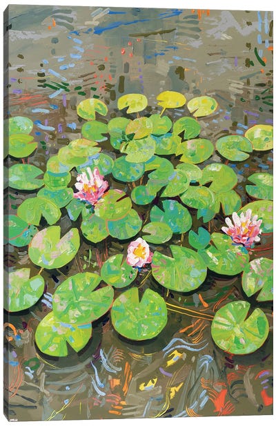 Tasman Lily Pond XLVI Canvas Art Print - Lily Art
