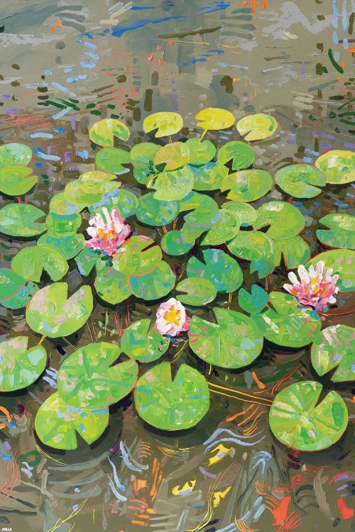 Tasman Lily Pond XLVI