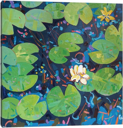Tasman Lily Pond XLIX Canvas Art Print - Lily Art