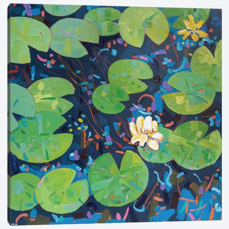 Tasman Lily Pond XLIX Canvas Print #JVN103} by Joseph Villanueva Canvas Art Print