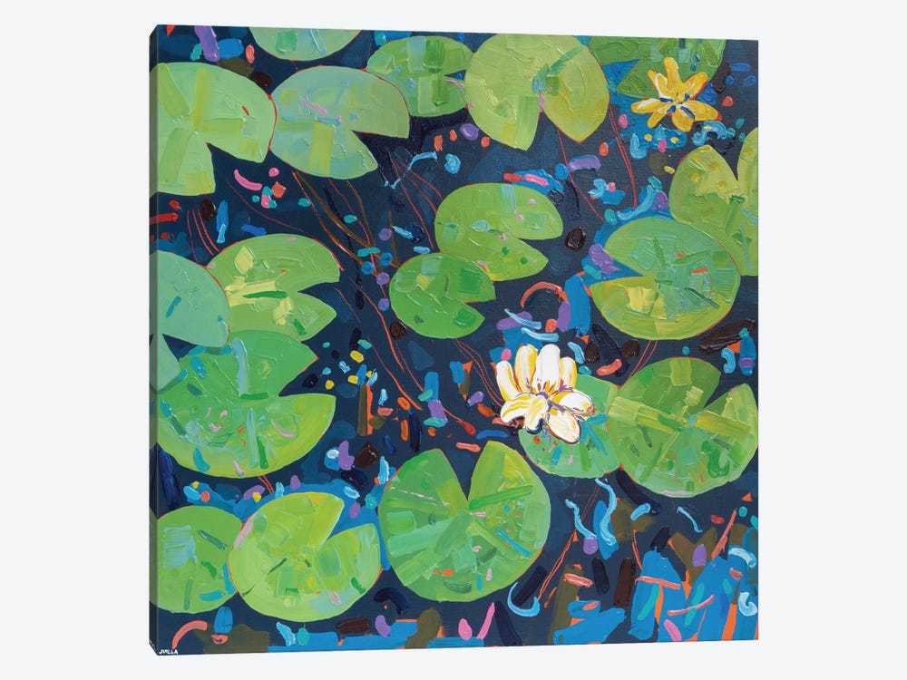 Tasman Lily Pond XLIX by Joseph Villanueva 1-piece Canvas Artwork