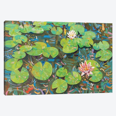Tasman Lily Pond L Canvas Print #JVN104} by Joseph Villanueva Canvas Art