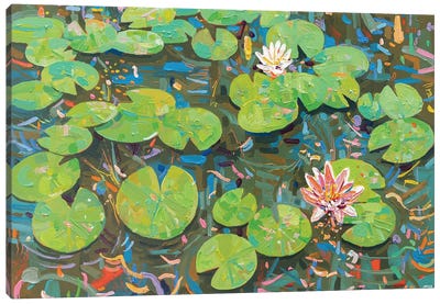 Tasman Lily Pond L Canvas Art Print - Artists Like Monet