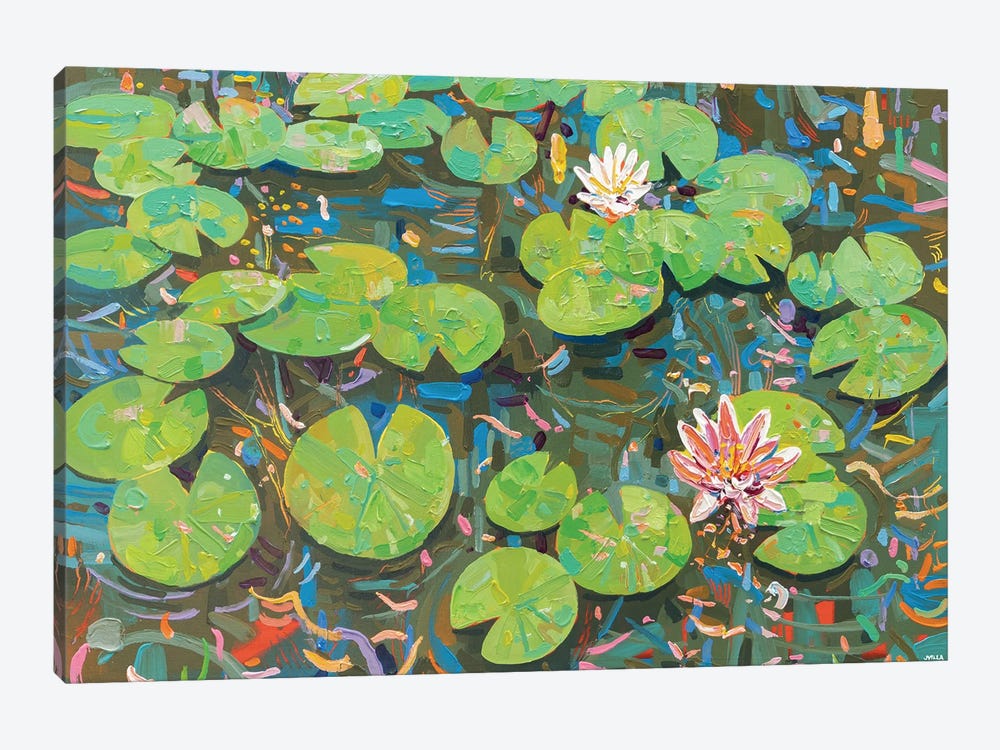 Tasman Lily Pond L by Joseph Villanueva 1-piece Art Print