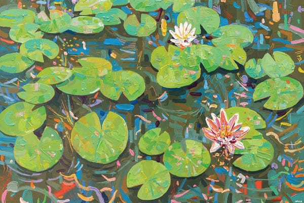 Joseph Villanueva: Tasman Lily Pond L by Joseph Villanueva