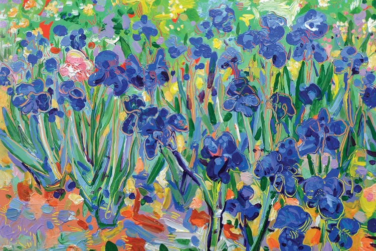 Vincents Blue Irises