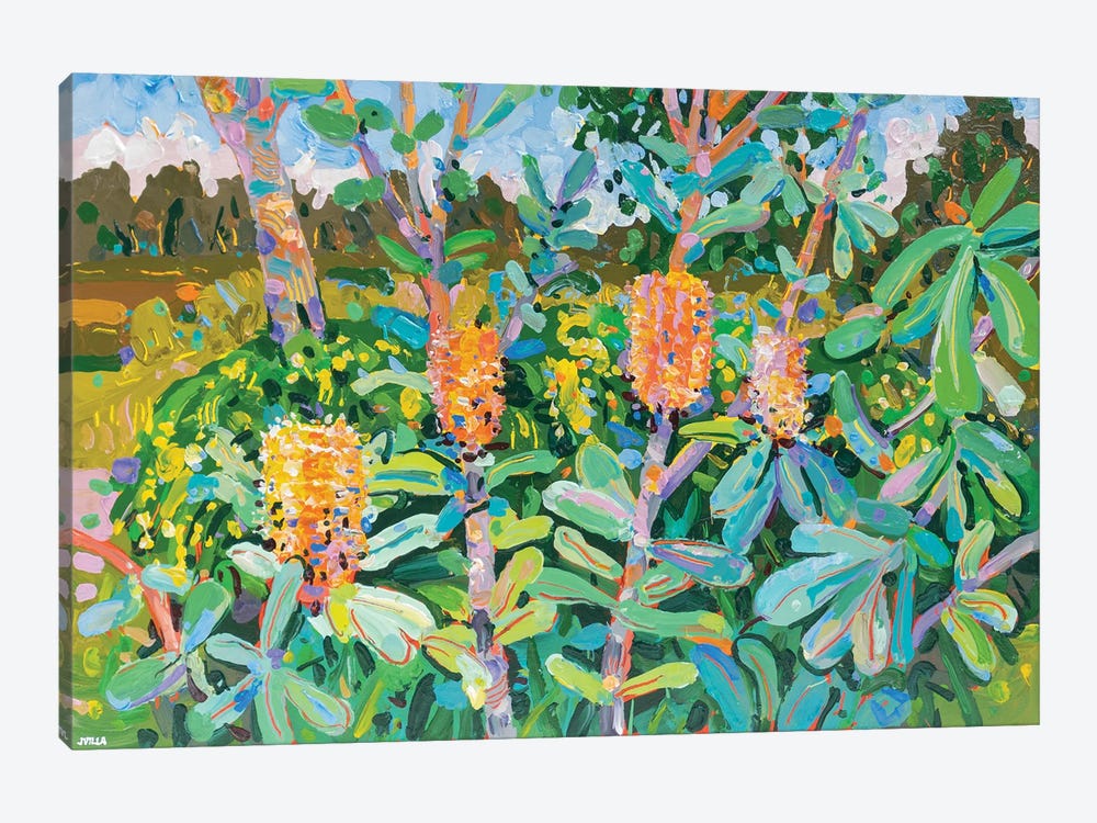 Coast Banksia VII by Joseph Villanueva 1-piece Canvas Print