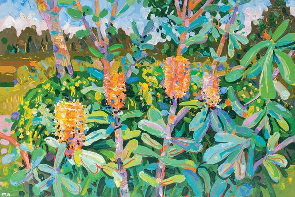 Joseph Villanueva: Coast Banksia VII by Joseph Villanueva