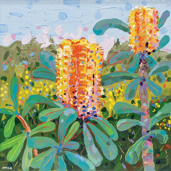 Joseph Villanueva: Coast Banksia IX by Joseph Villanueva