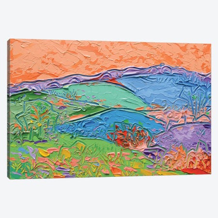 Colour Fields Landscape Canvas Print #JVN16} by Joseph Villanueva Canvas Art Print