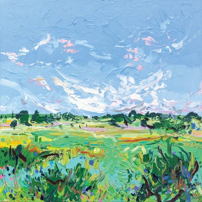 Fieldscape VIII by Joseph Villanueva framed canvas print