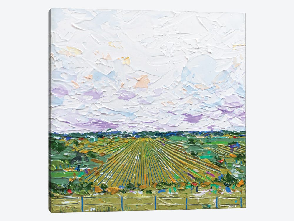 Fieldscape XI by Joseph Villanueva 1-piece Canvas Wall Art