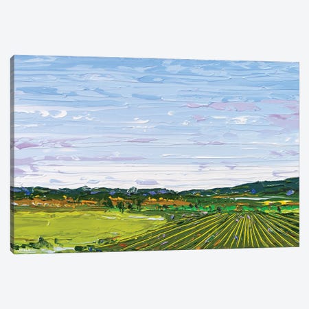Fieldscape XII Canvas Print #JVN20} by Joseph Villanueva Canvas Art Print