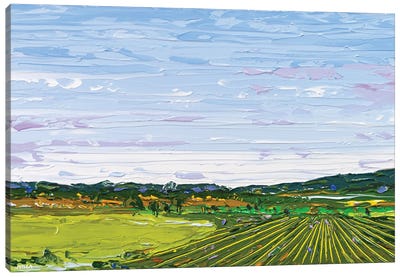 Fieldscape XII Canvas Art Print - Gestural Skies