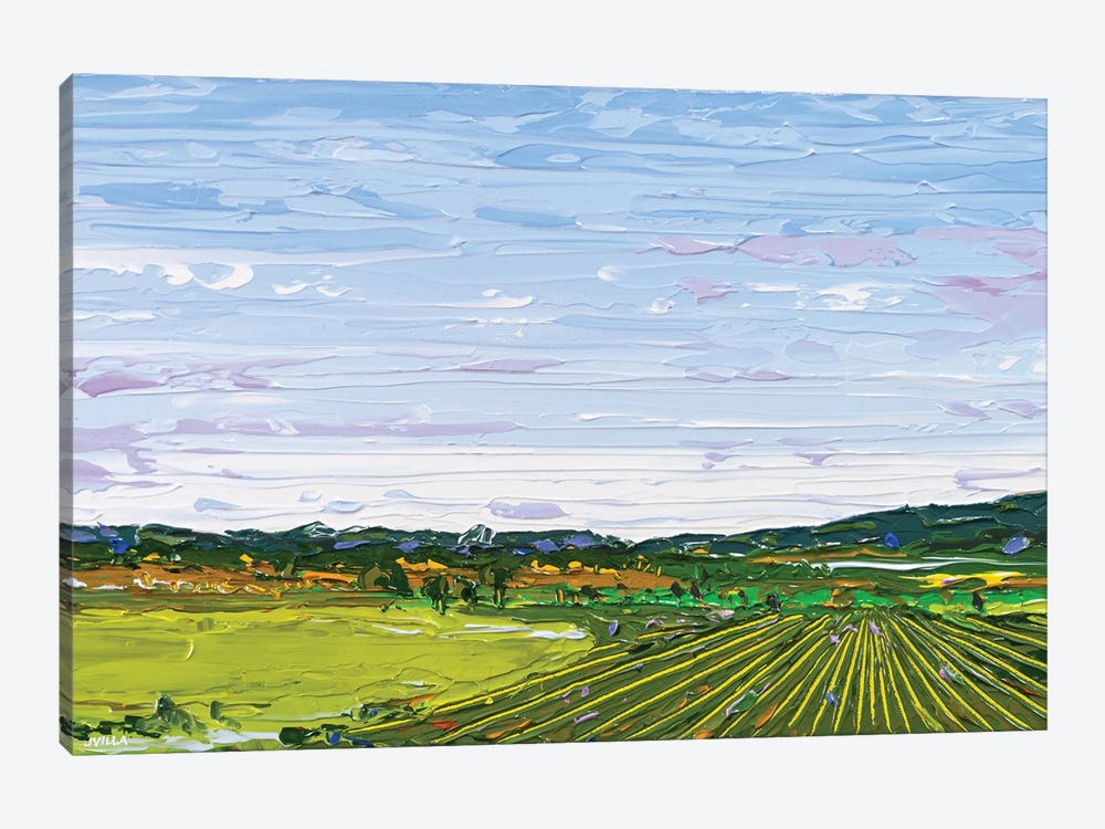 Fieldscape XII by Joseph Villanueva 1-piece Canvas Wall Art