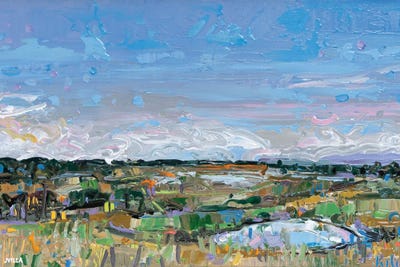 Fieldscape XIII by Joseph Villanueva framed canvas print