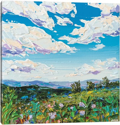 Fieldscape XIV Canvas Art Print - Landscapes in Bloom