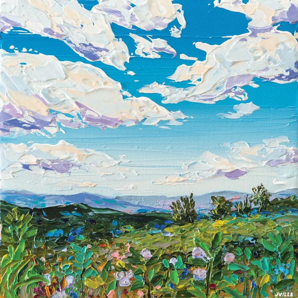 Joseph Villanueva: Fieldscape XIV by Joseph Villanueva