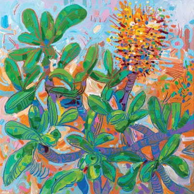 Banksia Integrifolia IV by Joseph Villanueva framed canvas print