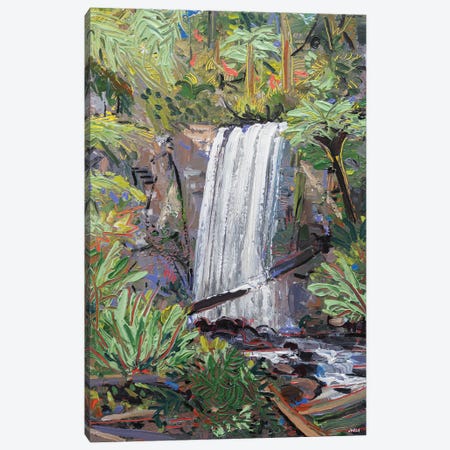 Hopetoun Falls Canvas Print #JVN34} by Joseph Villanueva Canvas Art Print