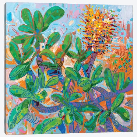 Banksia Integrifolia IV Canvas Print #JVN3} by Joseph Villanueva Canvas Art Print