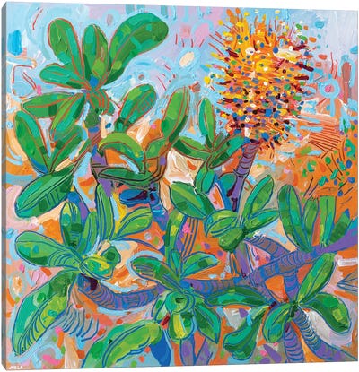 Banksia Integrifolia IV Canvas Art Print - Joseph Villanueva