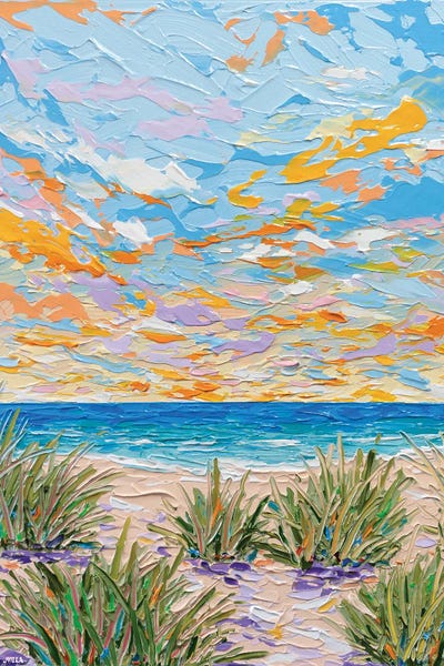 Beach Path V by Joseph Villanueva framed canvas print